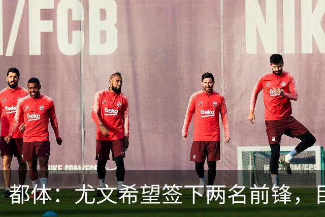都体：尤文希望签下两名前锋，目光锁定DV9、佩莱格里诺和瑟洛特